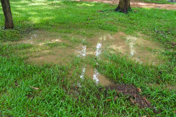 Cost of Storm Water Drainage Service in Delaware