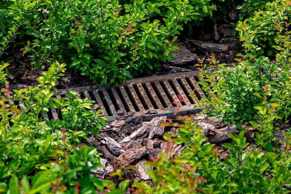 Cost of Underground Drainage Service in Delaware
