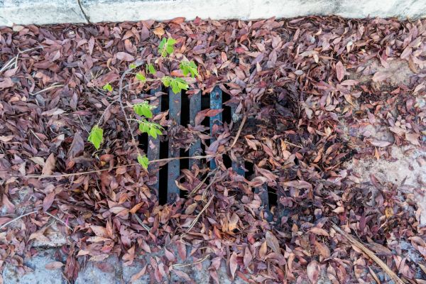 Cost of Yard Drain Unclogging in Delaware