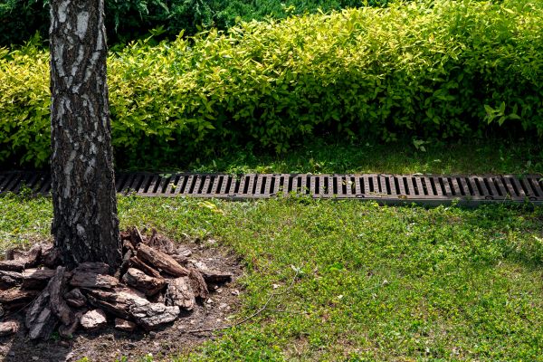 Cost of Yard Water Redirection in Delaware