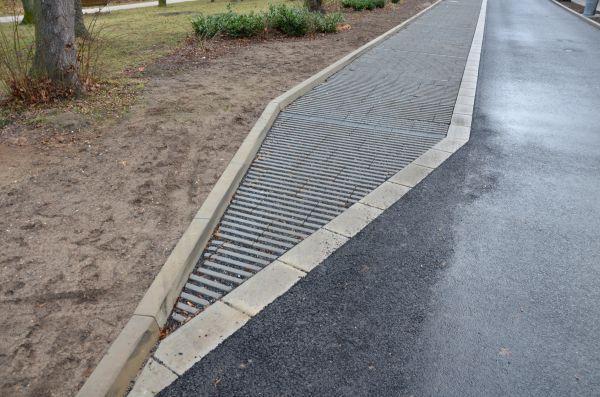 Cost of Muddy Yard Drainage in Delaware
