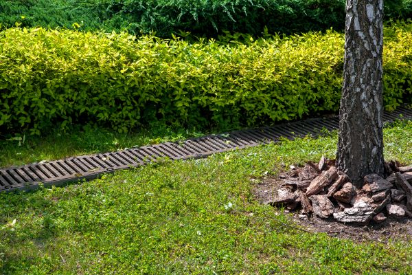 Cost of Residential Landscape Drainage in Delaware