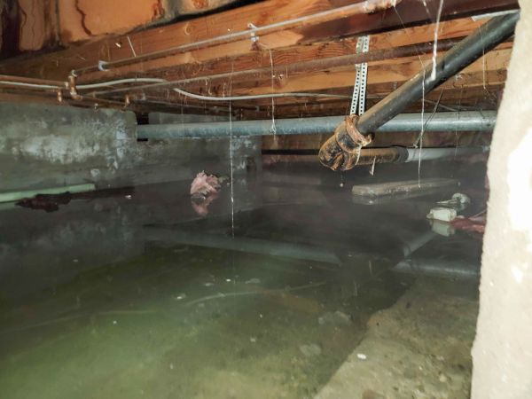 Cost of Crawlspace Drainage in Delaware