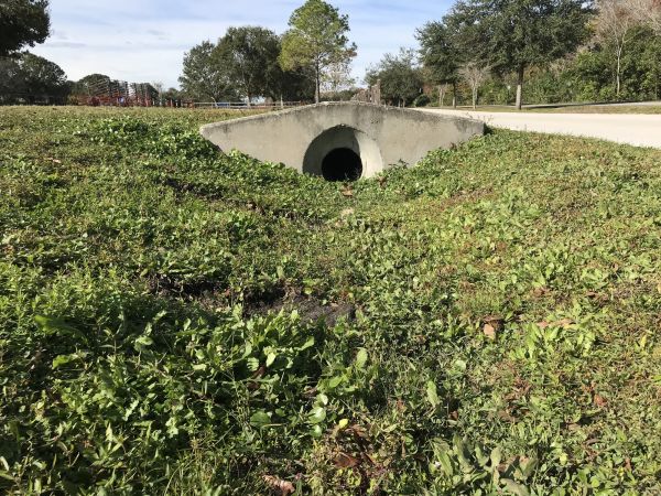 Cost of Swale Drainage Service in Delaware